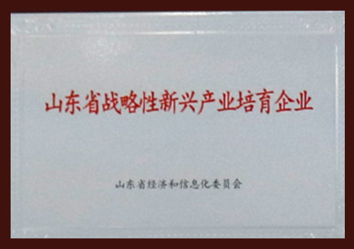 Shandong Eyaleti Stratejik Destekli Yükselen Girişimi