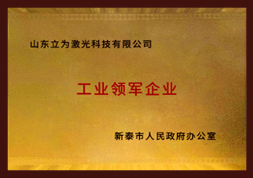 Shandong Eyaleti Teknoloji ve İnovasyon Girişimi